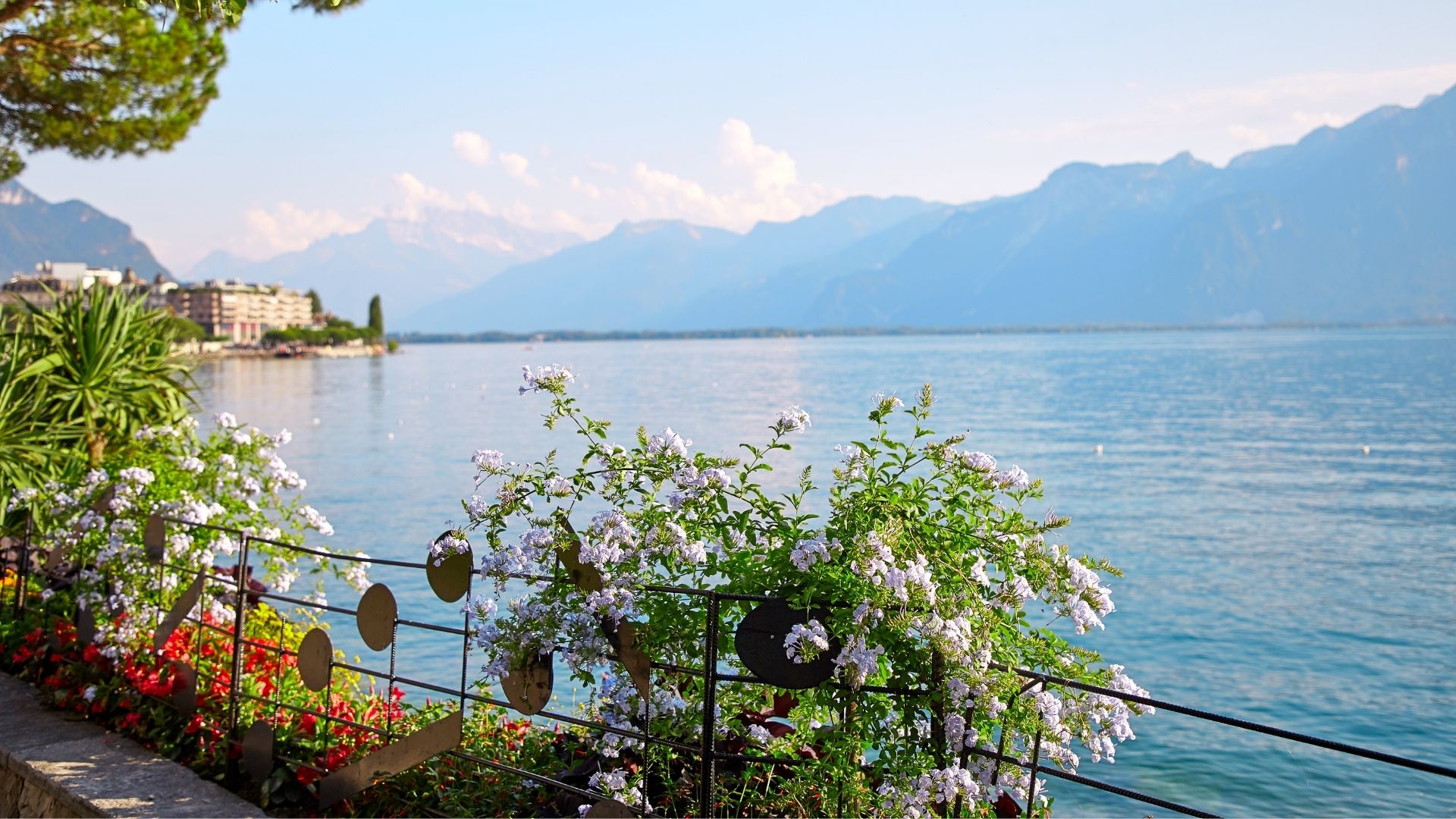 MONTREUX - ZERMATT (2/2)